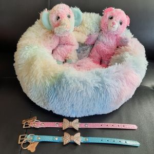 Dog bed with toys/collars